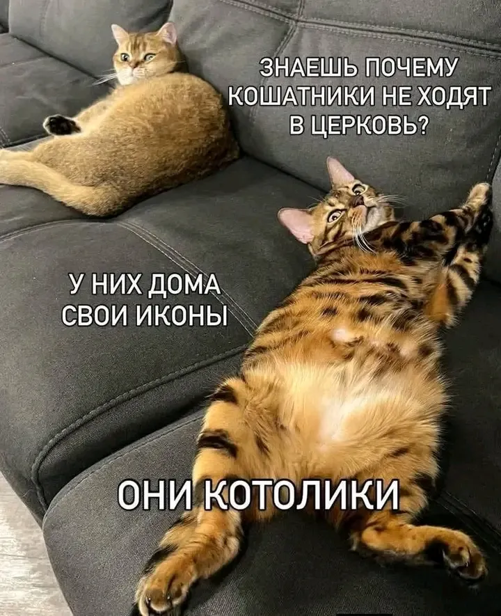 😉👍 #1