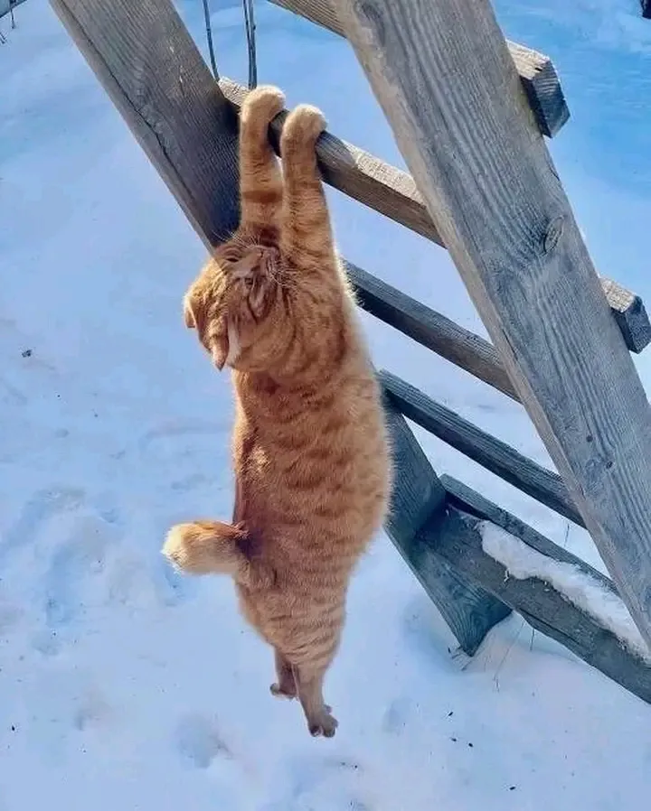 Отдых отдыхом, а зарядка по расписанию 😉👍