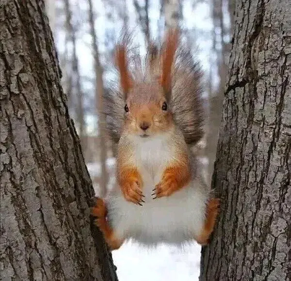 С Добрым пятничным утром🐿🥰 #1