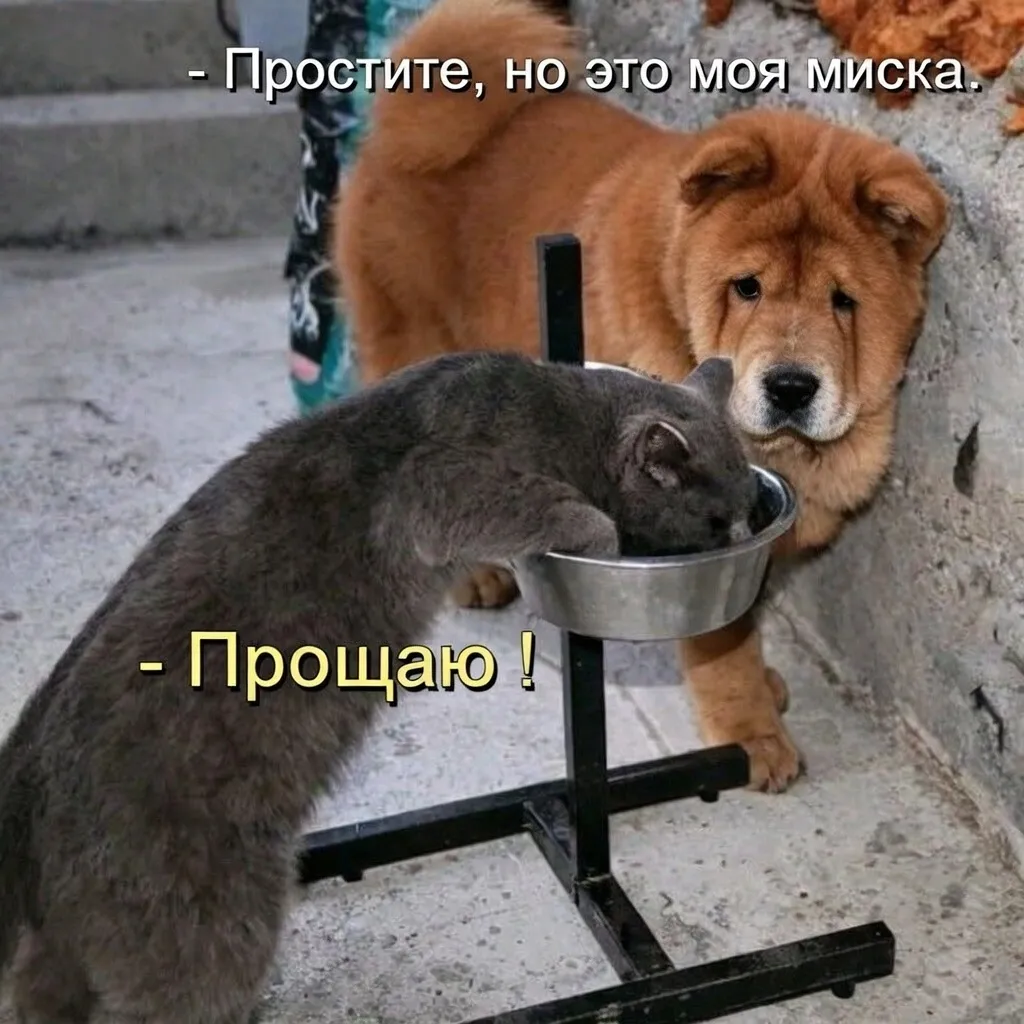 🤣😂👍 #1