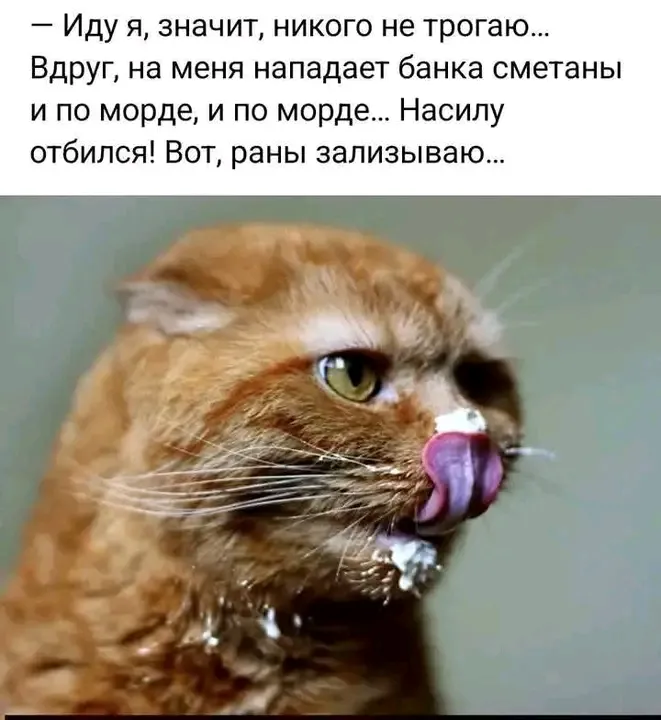 🤣🥰👍🐾 #1