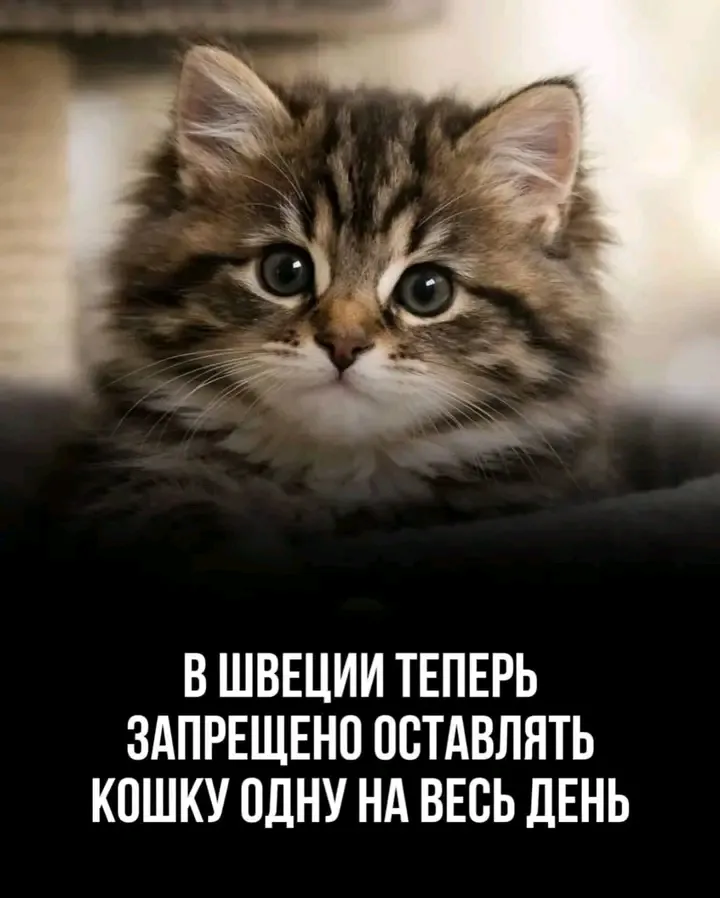 🥰👍 #2