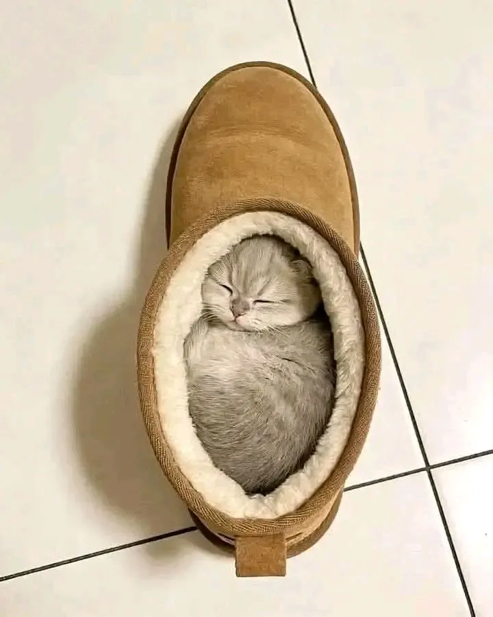 С Добрым Утром🐾🌞 🥰 #1