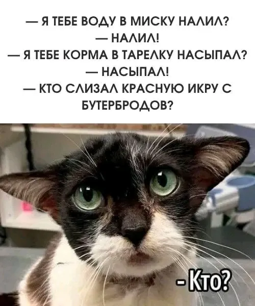 Кто❓🤔😉 #1