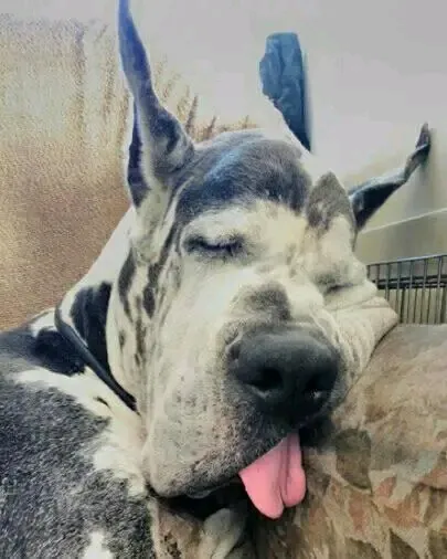 🙃😉🤣👍 #2