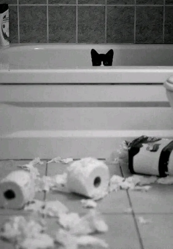 Застали... 🐾🥰 #1