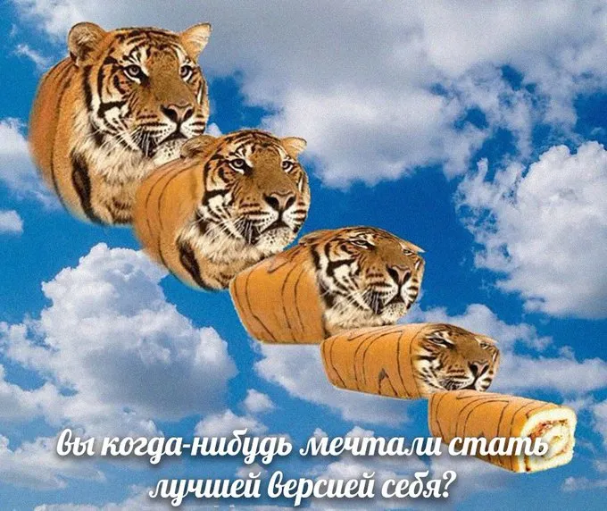 Весьма неплохо #1