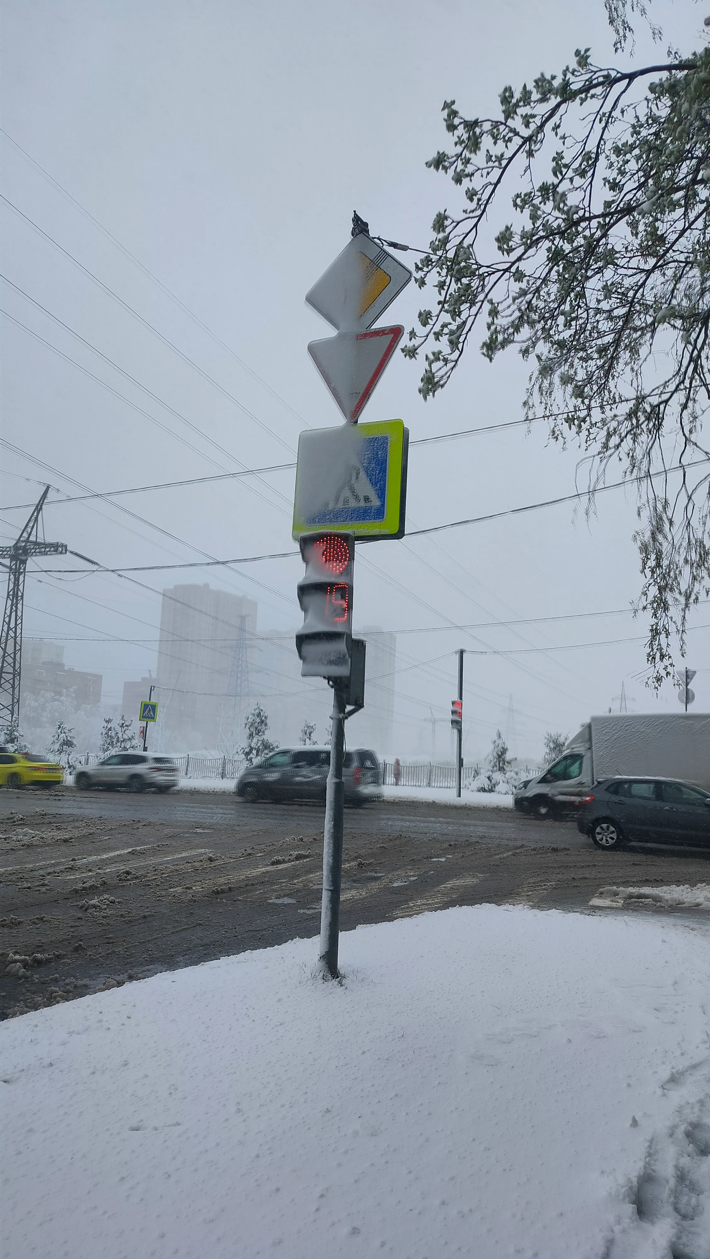 Опять зима #3