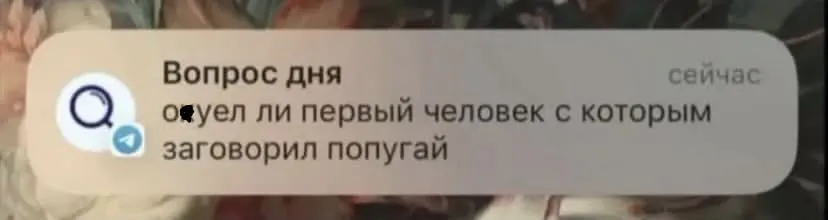 Вопрос дня #1