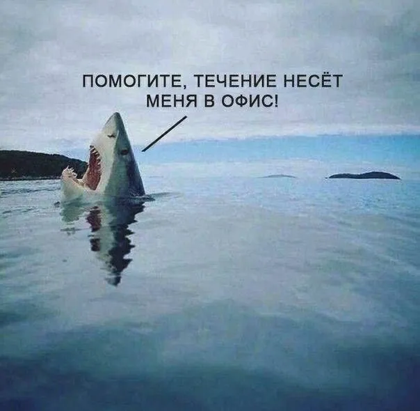 Благо меня не несёт ) #1
