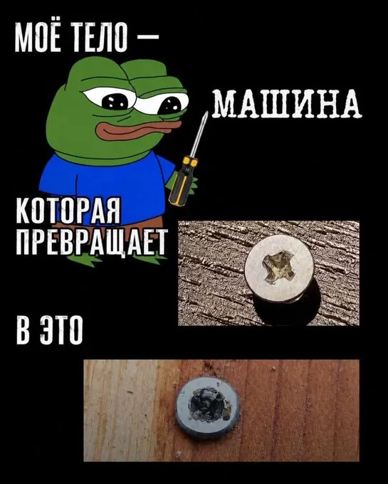 Мы сами вершим судьбу #1