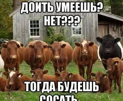 Нееееееет #1
