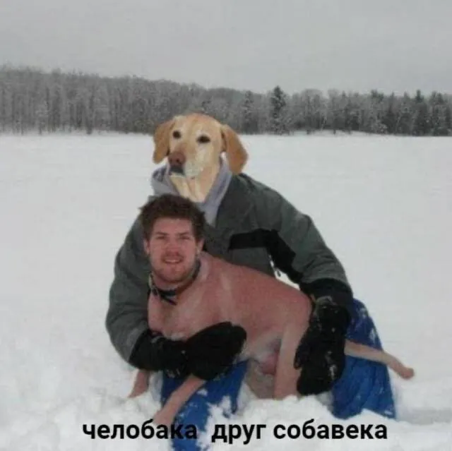 Запомнивате #1