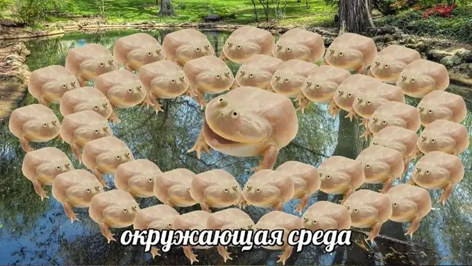 Среда чуваки #1