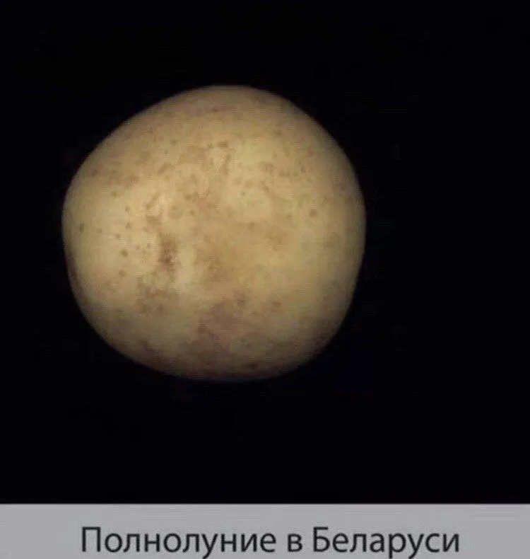 Это правда ? #2