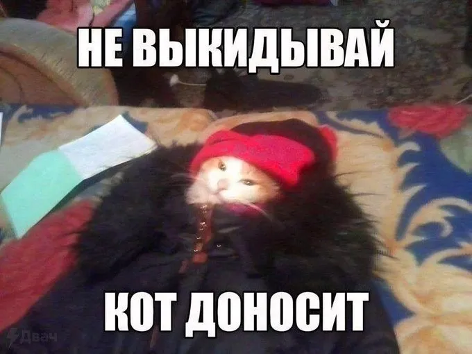 Согласен #1