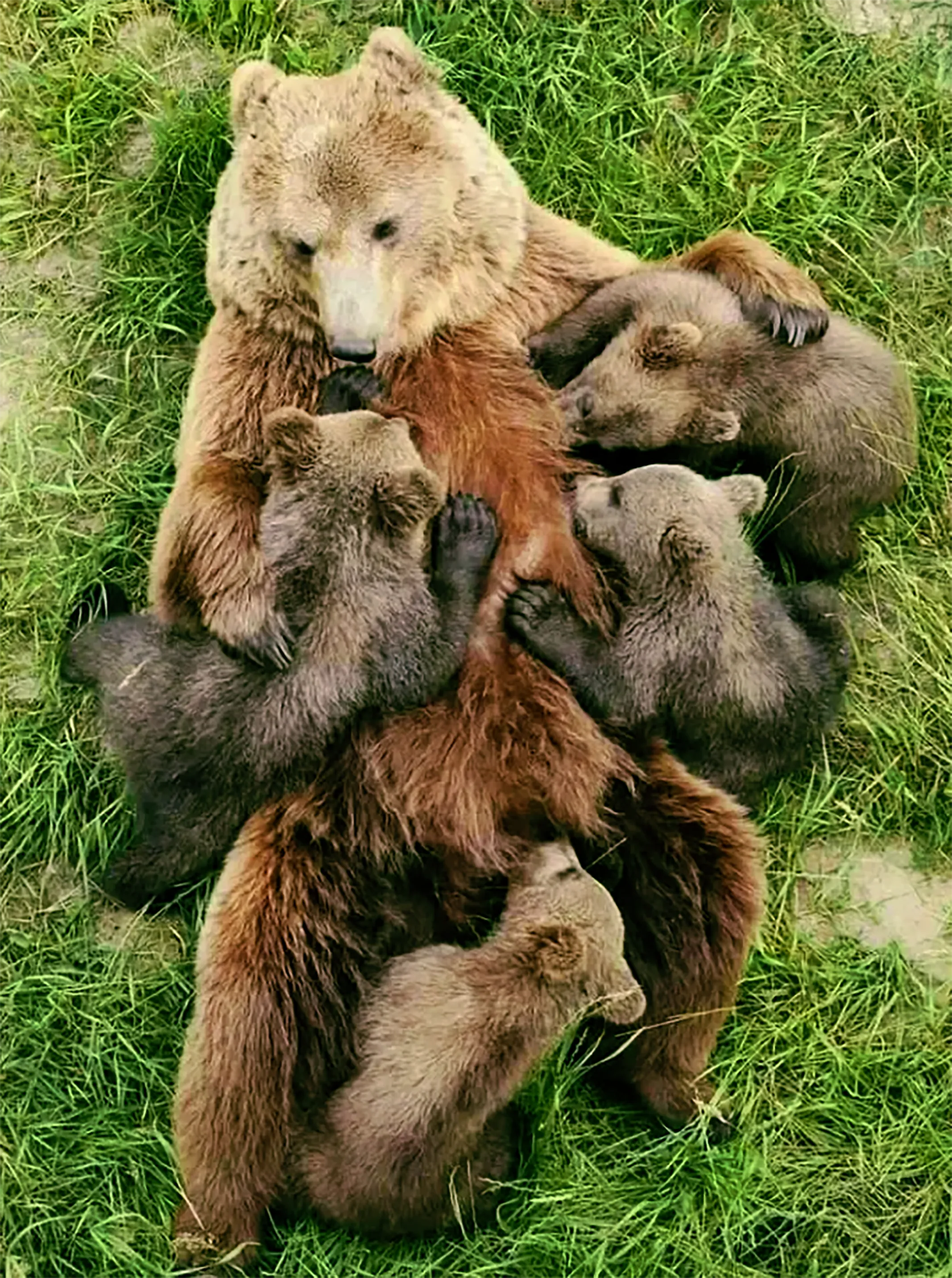 Трапеза #2