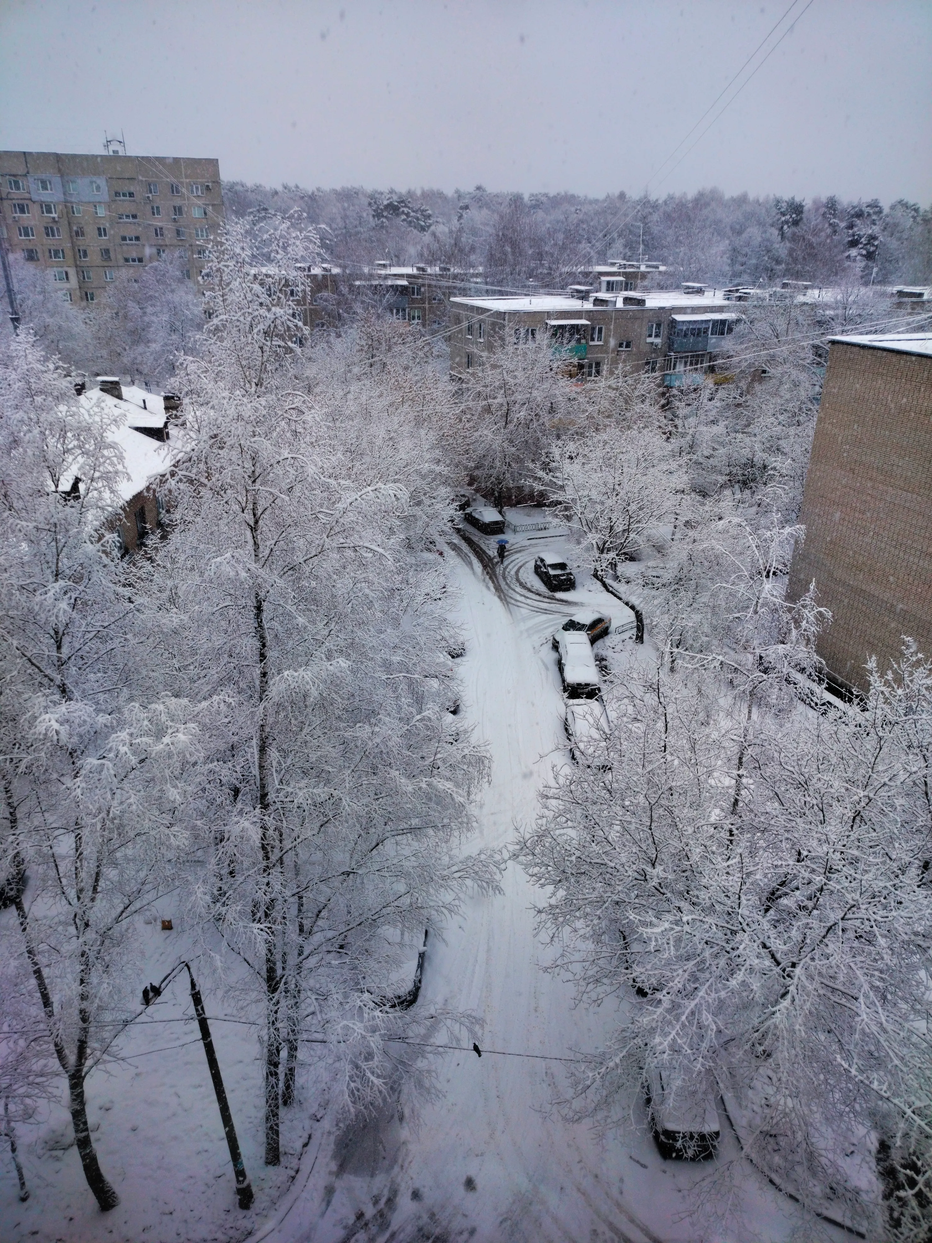 31 декабря #1