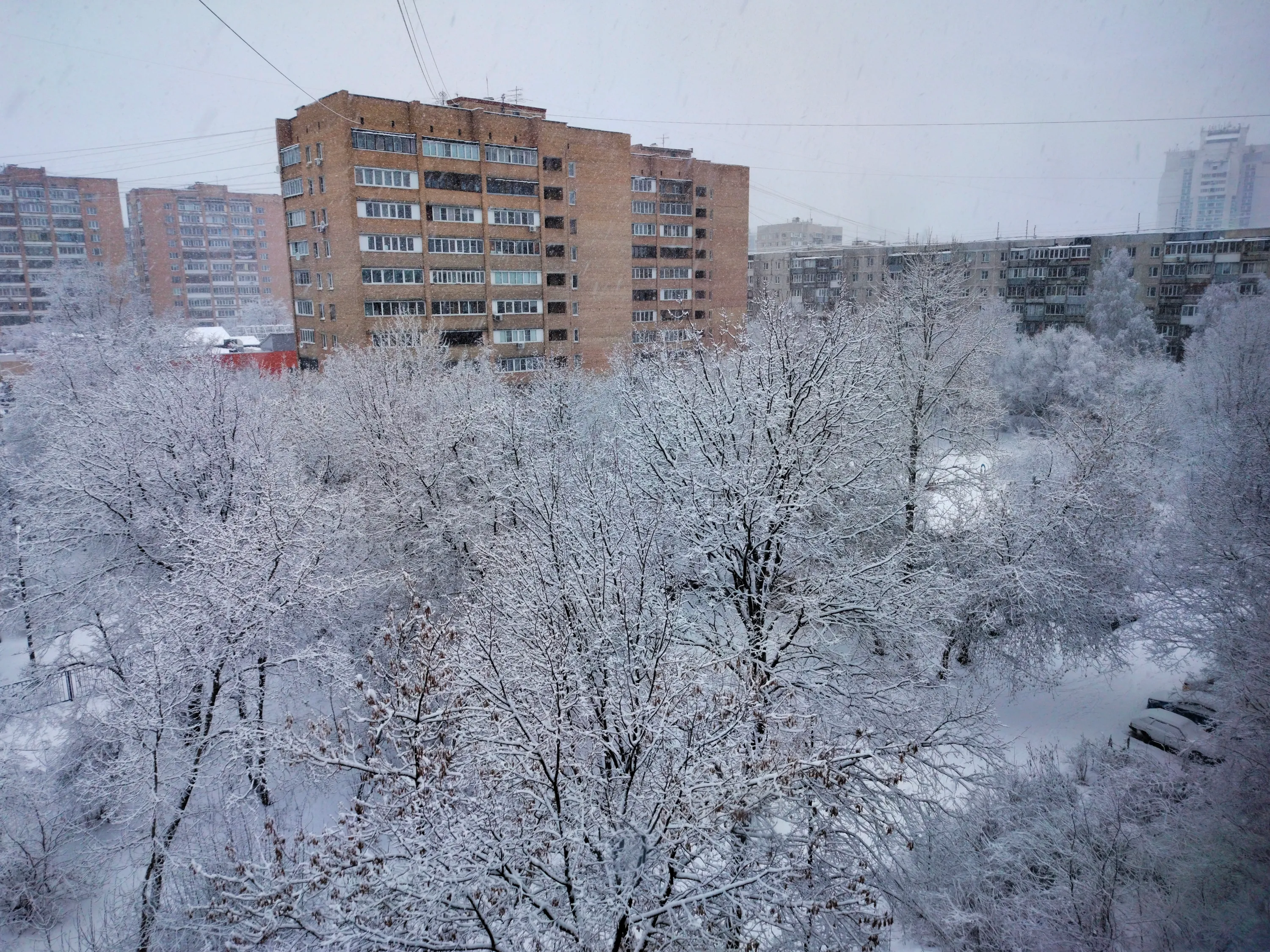 31 декабря #2