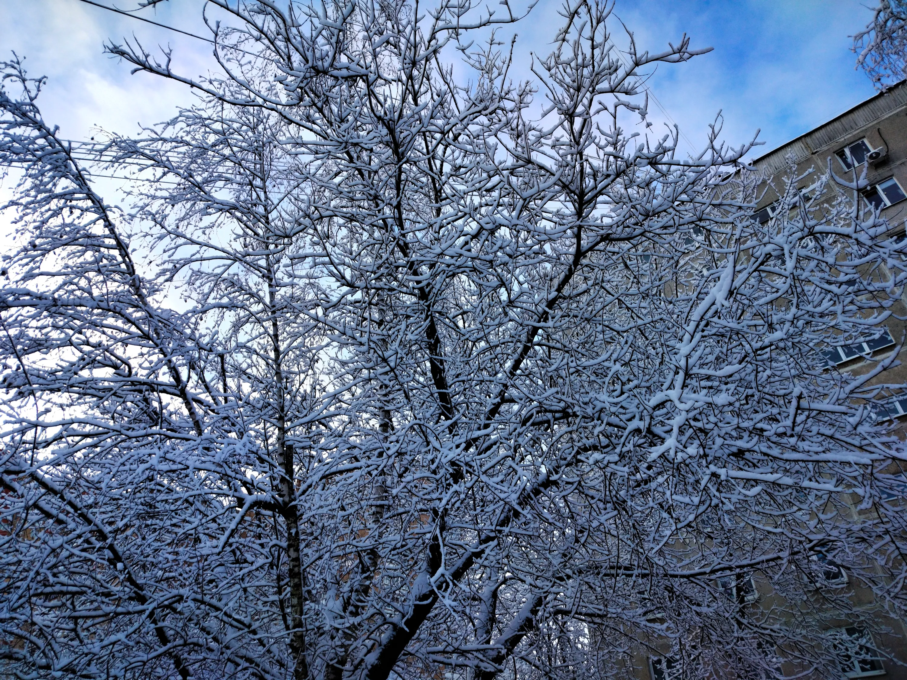 31 декабря #4