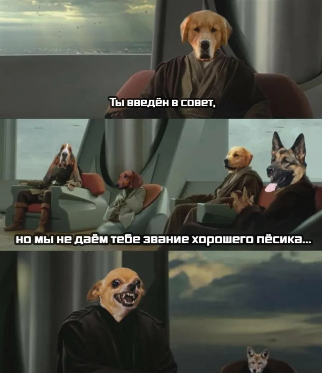 Вход в совет #1