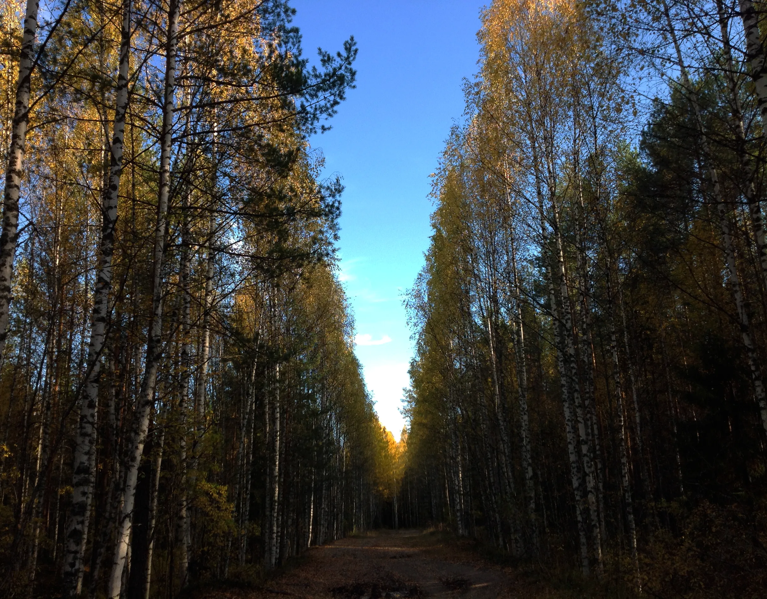 Фоткал не я, обработал я ) #3 #2