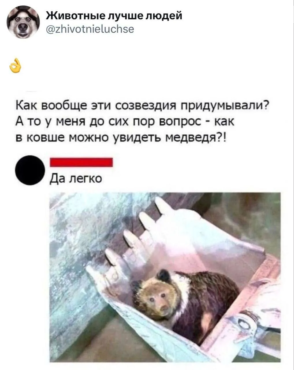А в чём собственно говоря проблема ? #1