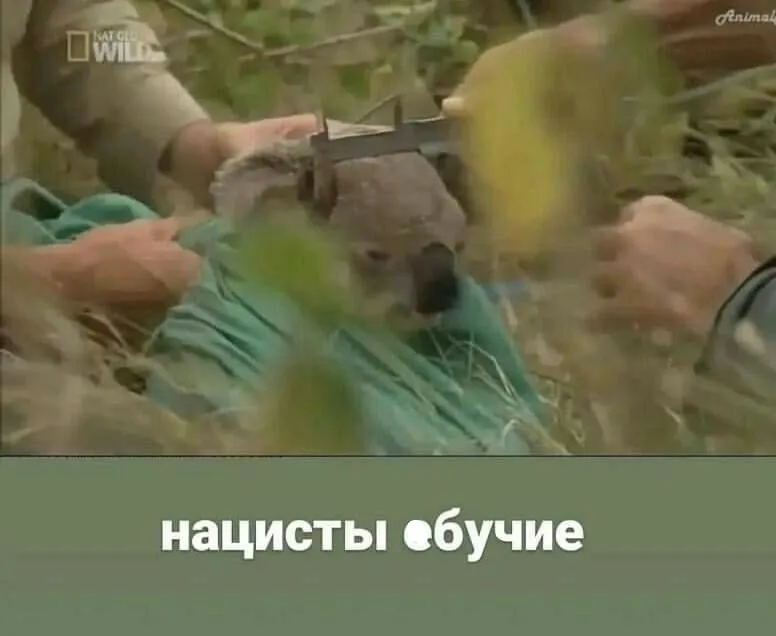 Согласен #1