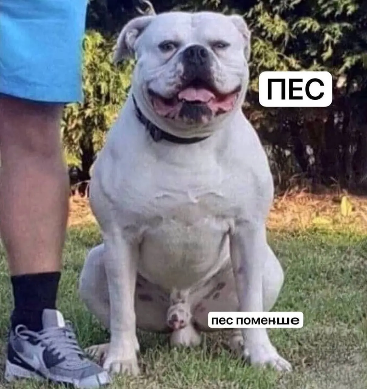 Извините... #1