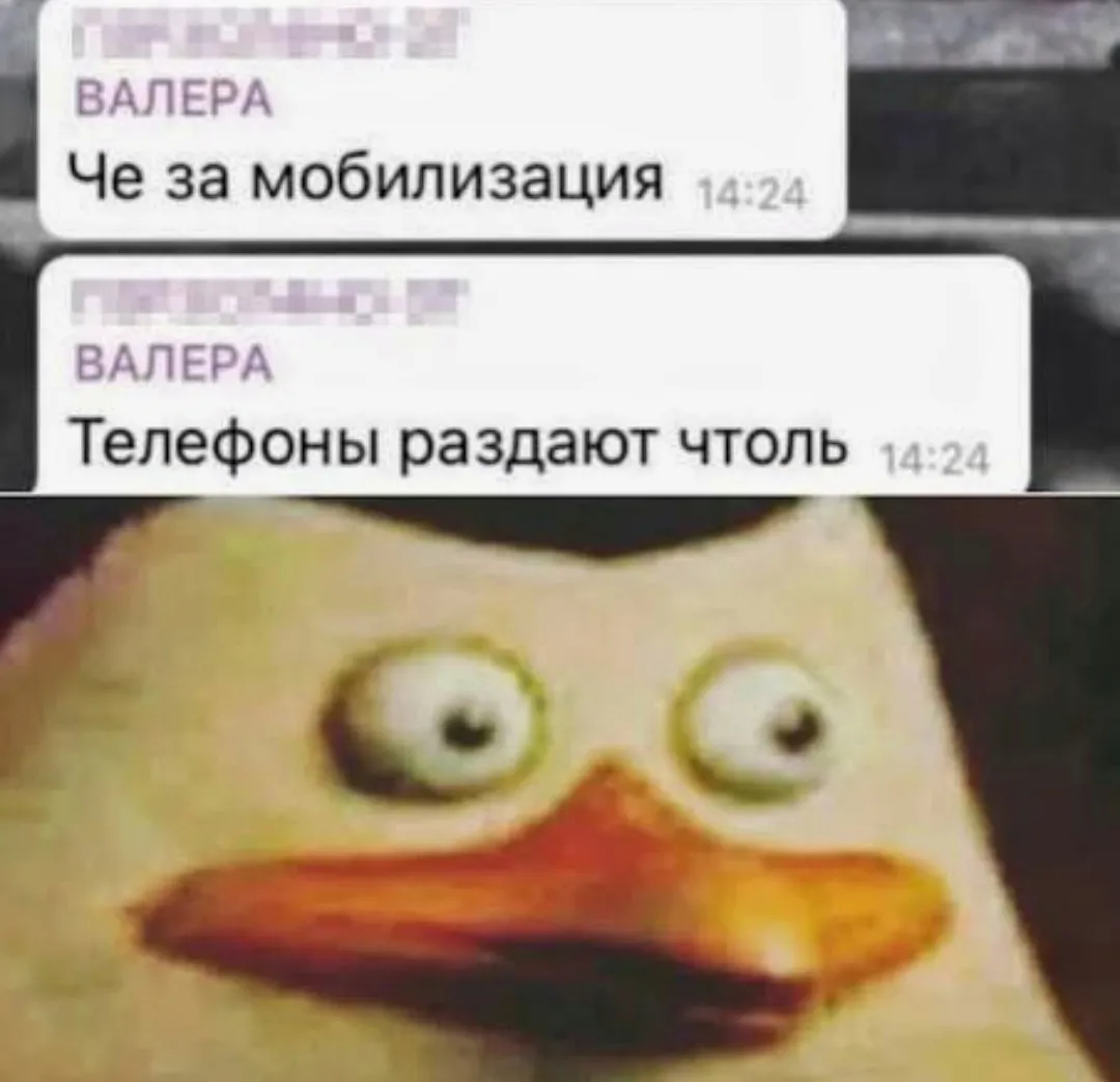 Мобилизация #1