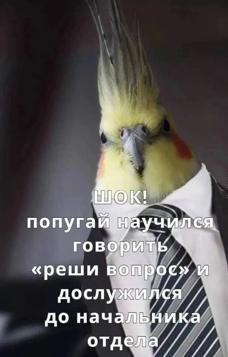Шок ! Работает ! #1