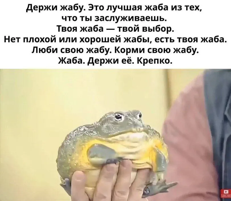 Пока ещё its Wednesday my dudes #1