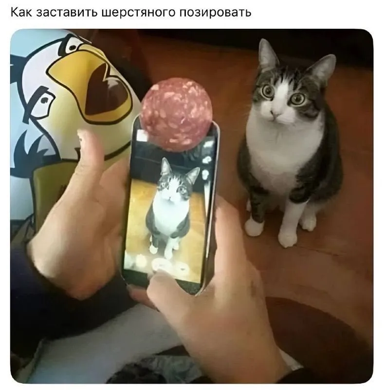 Лайфхак #1