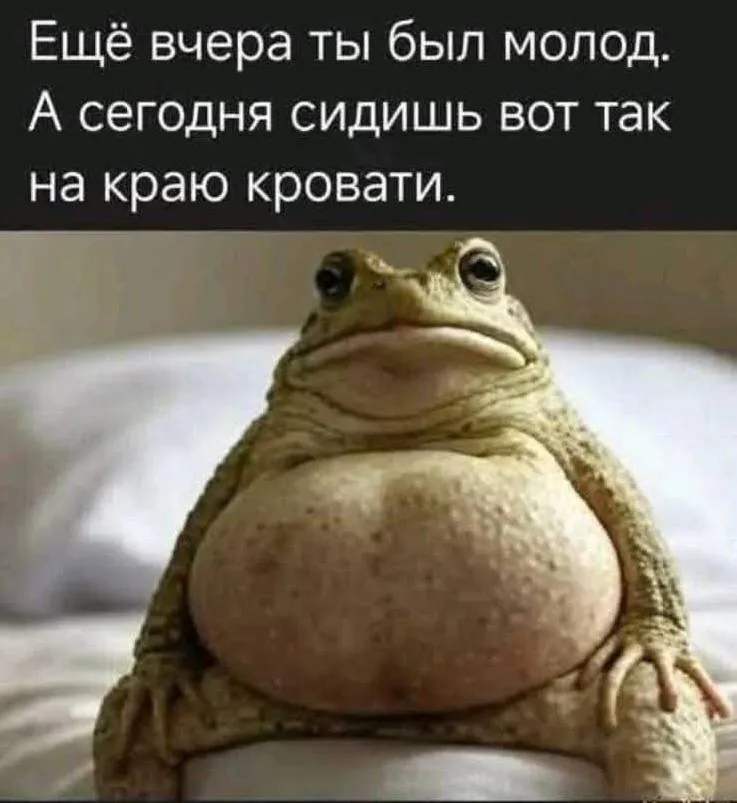 Демотивирующая среда, мои чюваки! #1