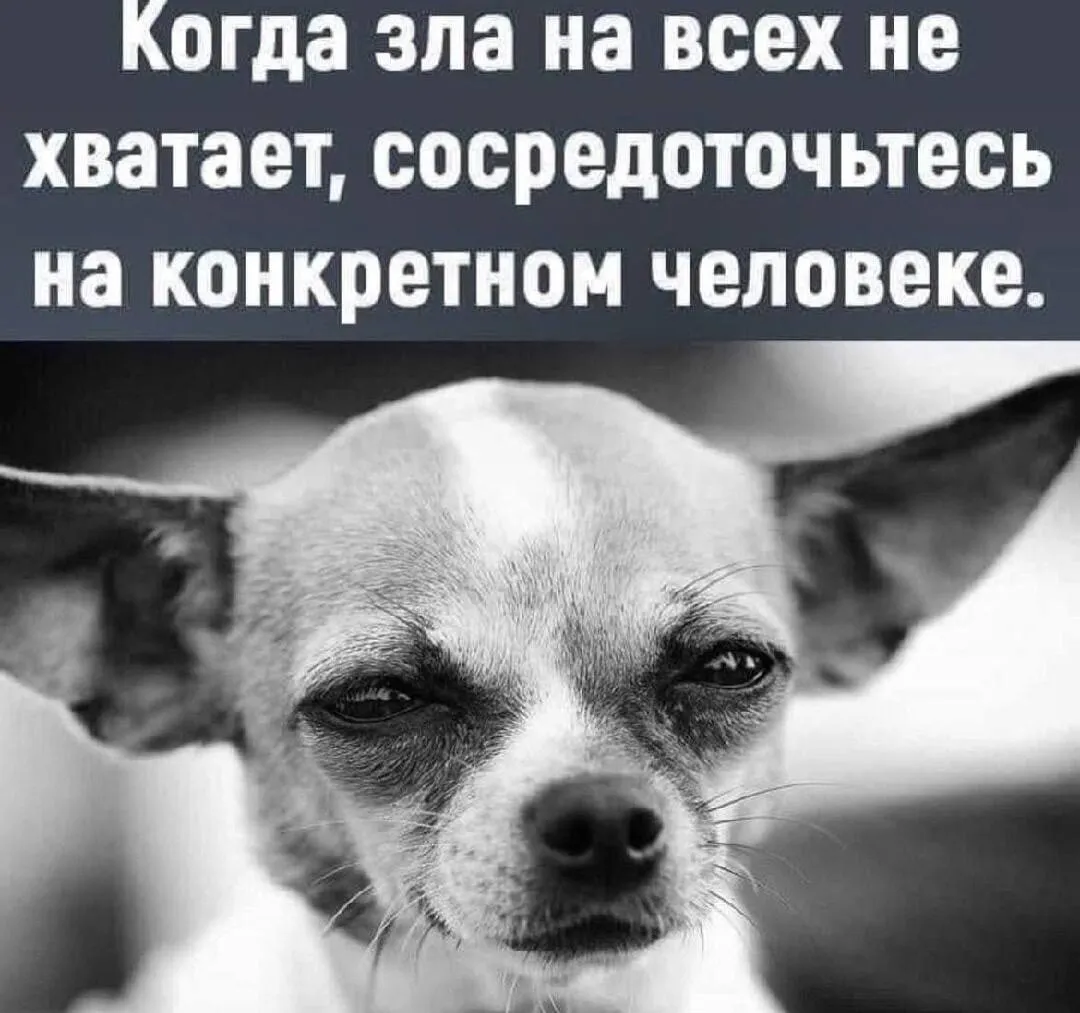 Совет дня #1