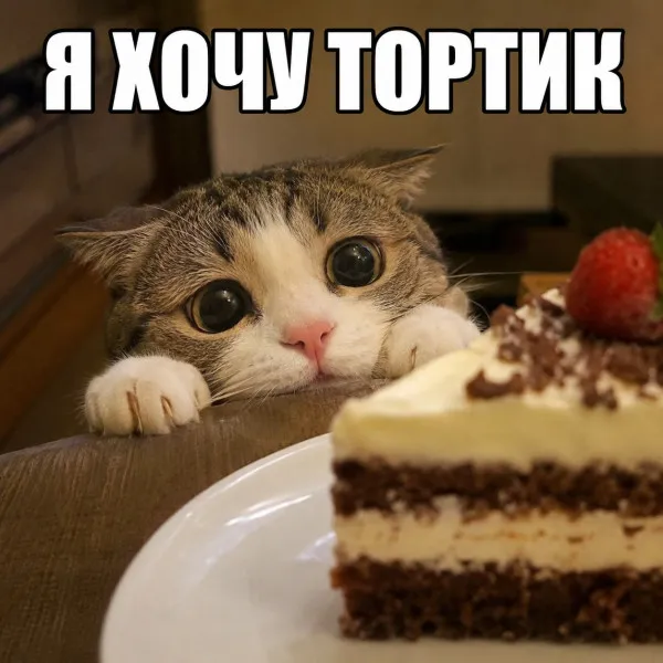 Просто оставлю это тут #1