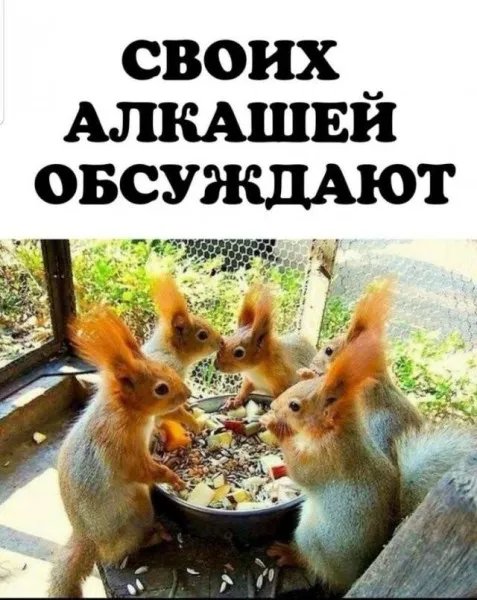 Продолжаем пятницу #1