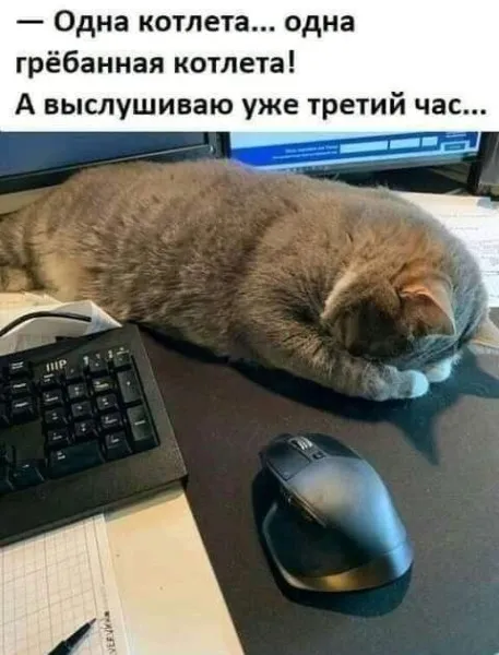 Одна жалкая котлетка #1
