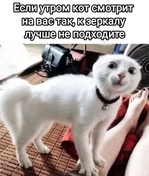 Доброе воскресное утро #1