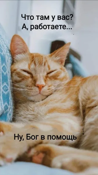 (не)доброе утро понедельника #1