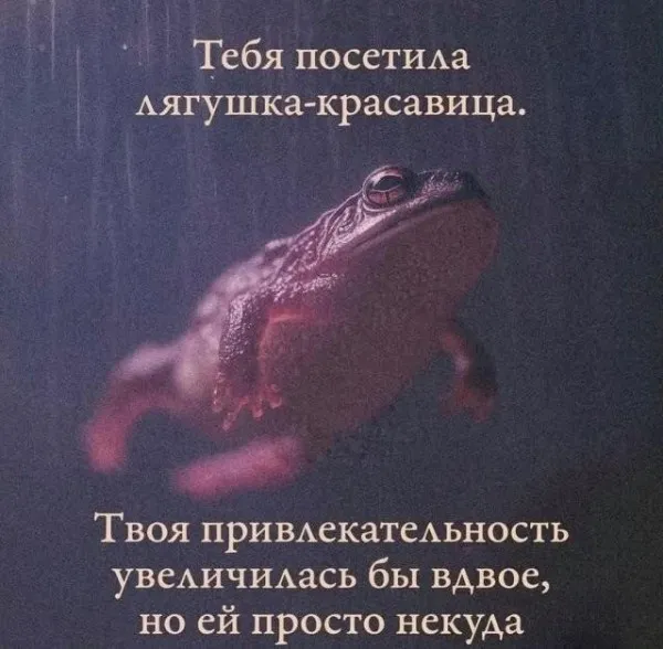 Среда, мои чюваки #1