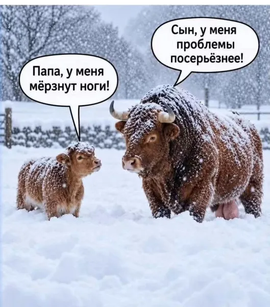 Разговоры о важном #1