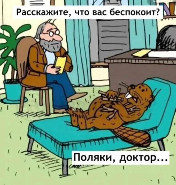 Bobr Kurwa #1