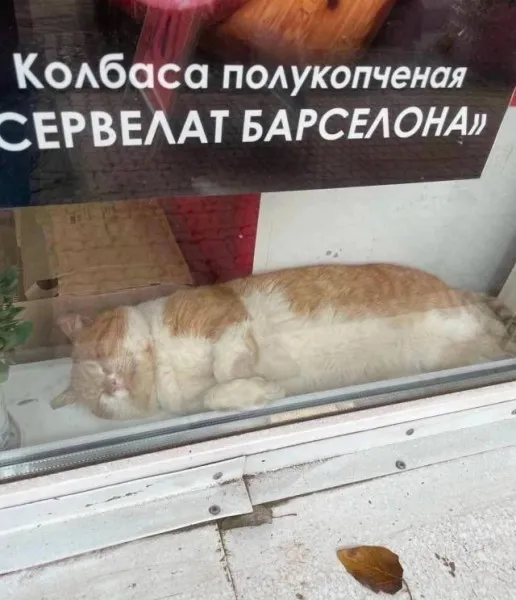 Главное не перепутать #1
