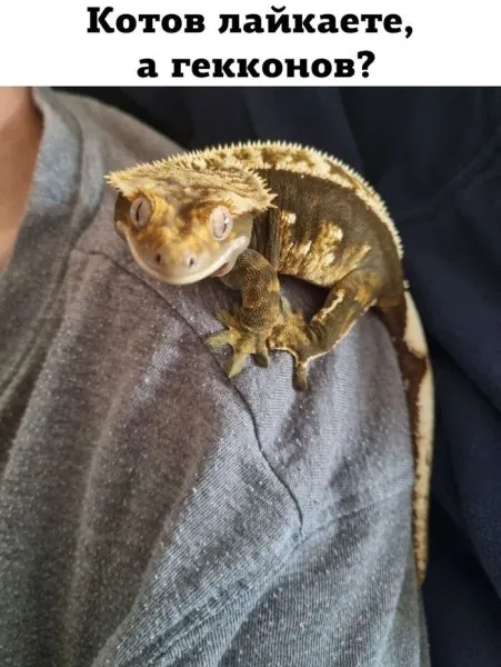 Эксперимент #1