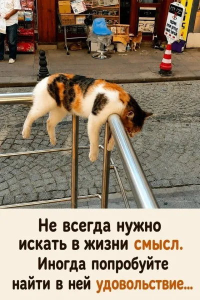 Полный расслабон #1
