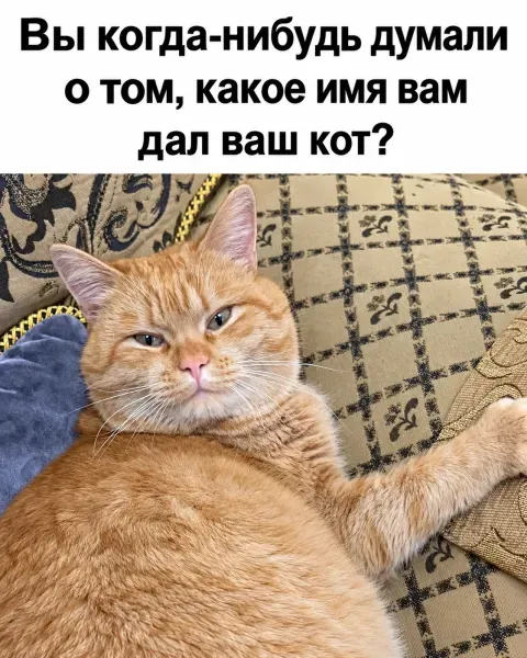 Крайне серьёзный вопрос #1
