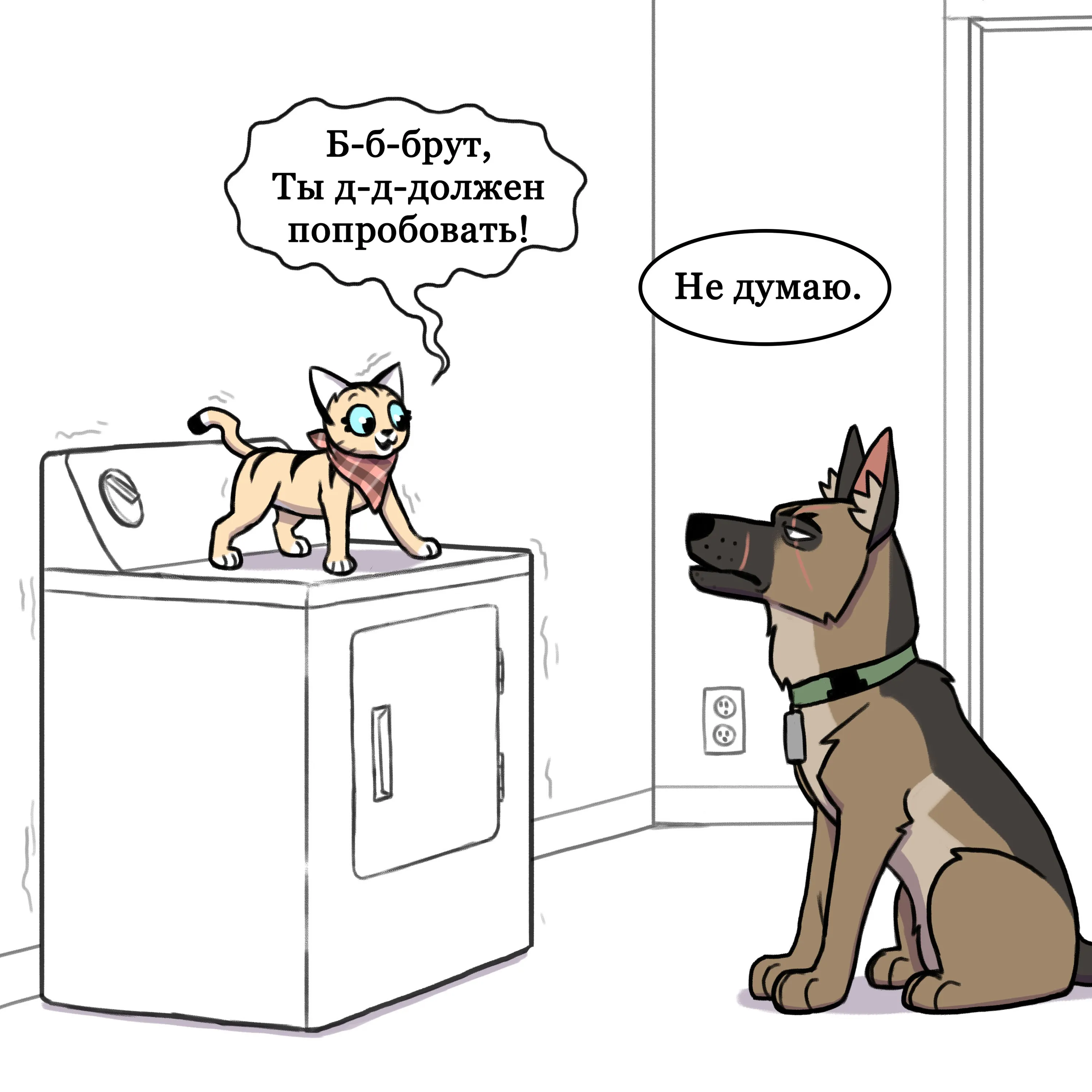 Pixie & Brutus - Dryer (2021.02.16) #2