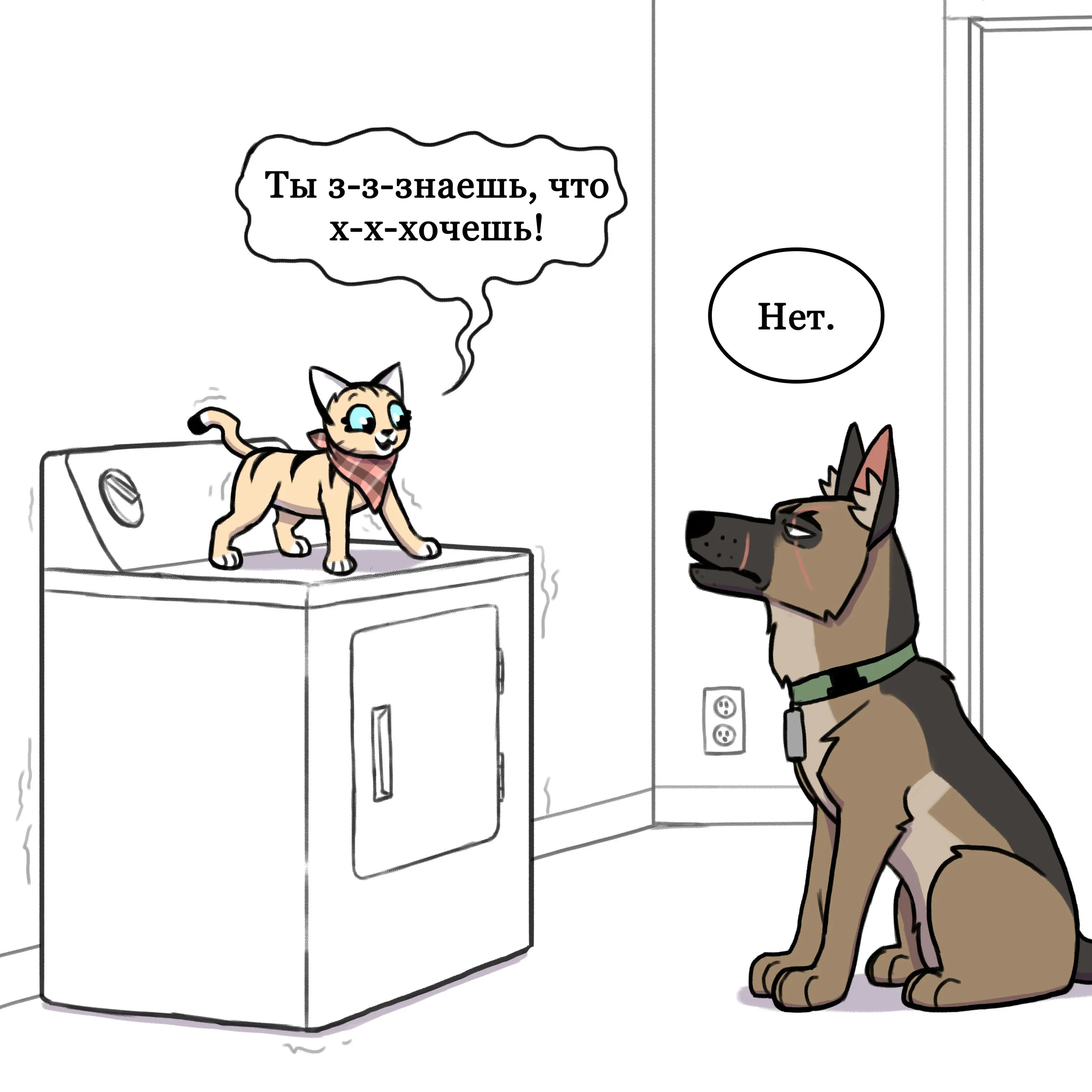 Pixie & Brutus - Dryer (2021.02.16) #3