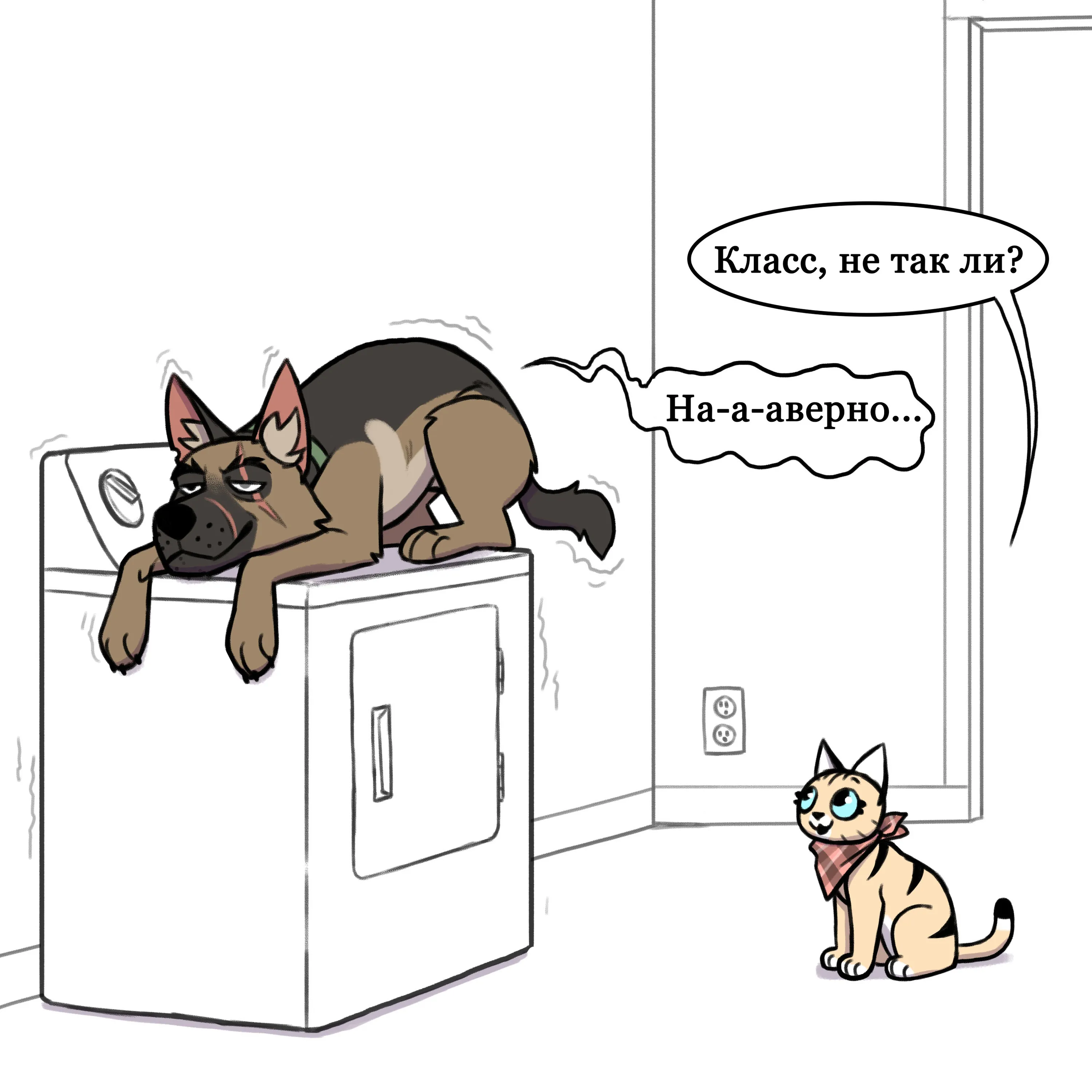 Pixie & Brutus - Dryer (2021.02.16) #4